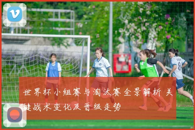 世界杯小组赛与淘汰赛全景解析 关键战术变化及晋级走势