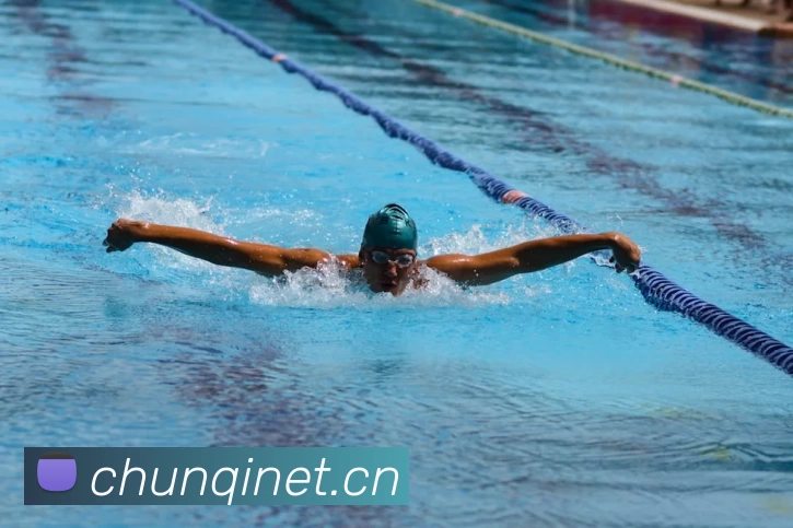 bat365(中国)在线平台官方网站 - 登录入口平台生态图